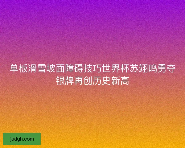 单板滑雪坡面障碍技巧世界杯苏翊鸣勇夺银牌再创历史新高